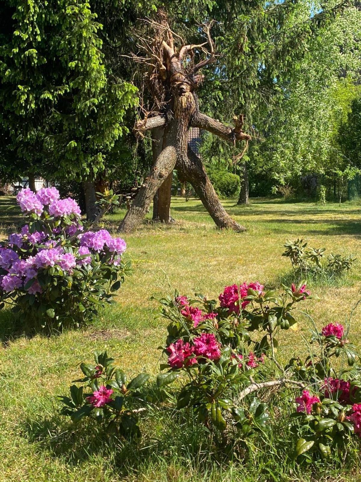 Pension Haus Zum See Markische Heide 외부 사진